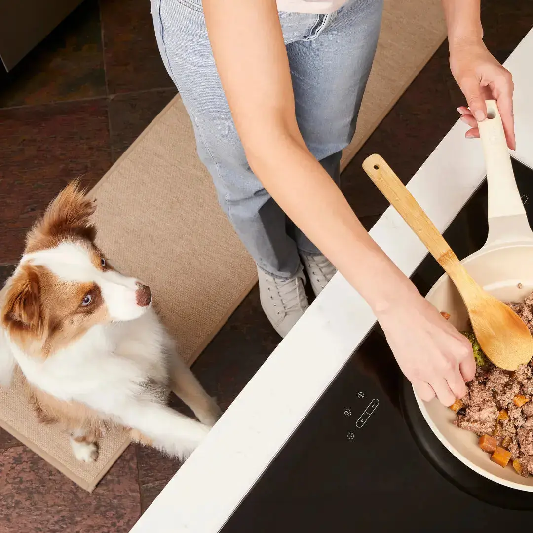 The Puppy Parent's Home Cooking Guide - Image 3