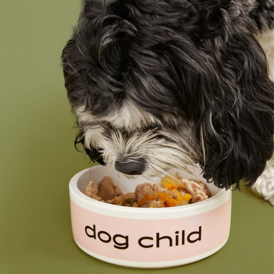 🐾 The VIP Dog Parents Community — The Simple, Science-Backed Way to Cook for Your Dog With Confidence - Image 4