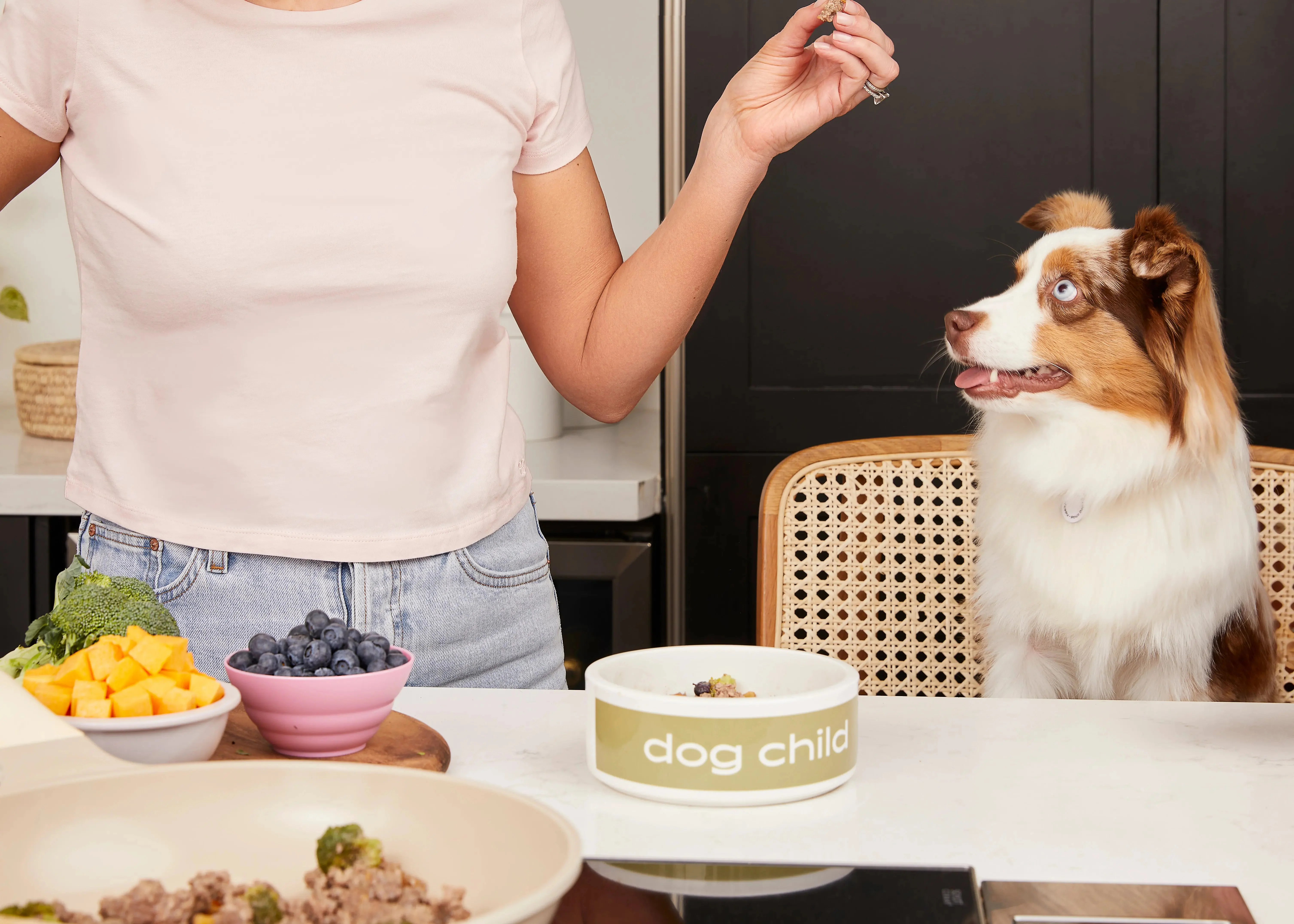 🐾 The VIP Dog Parents Community — The Simple, Science-Backed Way to Cook for Your Dog With Confidence - Image 5
